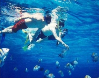 Snorkel en Vallarta